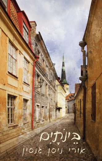 בינותיים/אורי ניסן גנסין